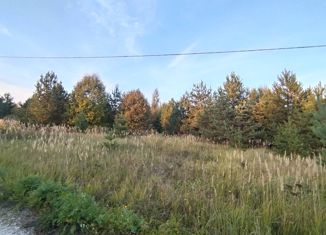 Участок на продажу, 25 сот., село Новобусино