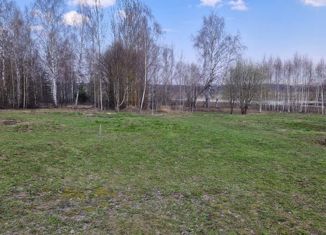 Продается земельный участок, 15 сот., деревня Черноситово, деревня Черноситово, 16