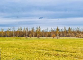 Продажа земельного участка, 500 сот., деревня Васили