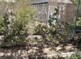 Дом на продажу, 38 м2, садоводческое некоммерческое товарищество Пионер, Дорожная улица, 220