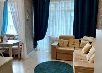 Продаю квартиру студию, 31 м2, деревня Кабицыно, микрорайон Молодёжный, 10