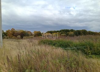 Продаю земельный участок, 20.4 сот., село Новый Мир, Лесная улица, 31А