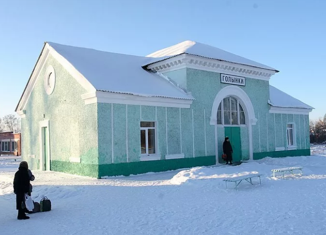 Дом на продажу, 50 м2, деревня Тетери, Вишнёвая улица