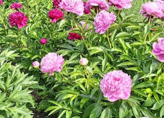 Продаю дом, 80 м2, поселок городского типа Шушенское, Октябрьская улица