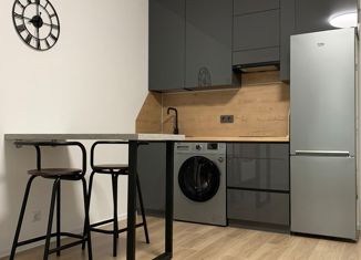 Квартира в аренду студия, 27.6 м2, Санкт-Петербург, метро Улица Дыбенко, Дальневосточный проспект