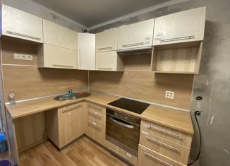 Сдача в аренду 1-ком. квартиры, 40.3 м2, Миасс, улица Нахимова, 3