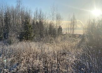 Продажа участка, 1323 сот., село Красная Слудка, Вознесенская улица