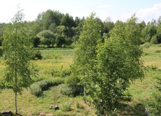 Продаю земельный участок, 25 сот., село Половодово, улица Черняховского