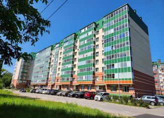 Продается однокомнатная квартира, 42.8 м2, Санкт-Петербург, 6-я Жерновская улица, 19, муниципальный округ Ржевка