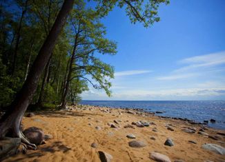 Продам дом, 230 м2, коттеджный посёлок Сосновый пляж, коттеджный посёлок Сосновый пляж, 199