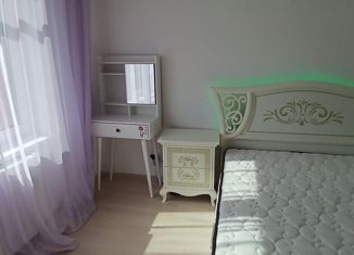 Сдам в аренду 1-ком. квартиру, 41 м2, Санкт-Петербург, Плесецкая улица, 6, ЖК Ариосто