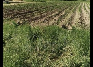 Продам участок, 20 сот., деревня Михеево