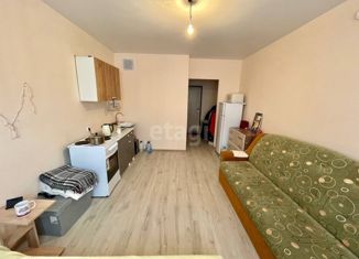 Продается квартира студия, 22.1 м2, поселок городского типа Разумное, Преображенская улица, 5