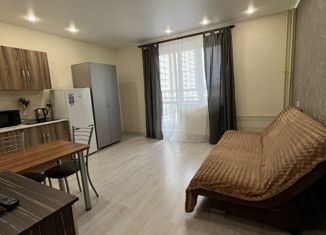 Продажа квартиры студии, 25 м2, Челябинск, улица Университетская Набережная, 97, жилой район Академ Риверсайд