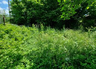 Продается земельный участок, 10 сот., село Анастасиевка, Лесная улица, 41