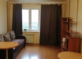 Сдаю квартиру студию, 27.5 м2, село Осиновая Гора, 2-й Восточный проезд, 4