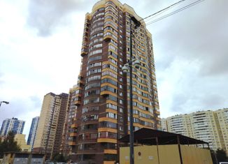 Продажа квартиры студии, 25.6 м2, Санкт-Петербург, Ленинский проспект, 78к2, Красносельский район