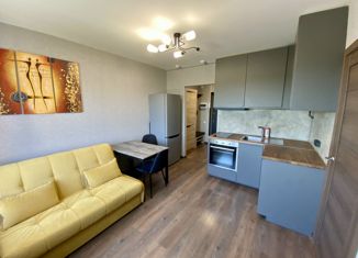 Сдам 1-комнатную квартиру, 34 м2, Санкт-Петербург, Юнтоловский проспект, 42к2, Юнтоловский проспект