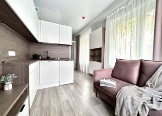 Продается квартира студия, 17 м2, Москва, Электрозаводская улица, 14с1, метро Электрозаводская