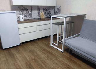 Сдается 1-комнатная квартира, 26 м2, Обь, Октябрьская улица, 3