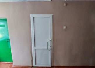 Продаю 1-ком. квартиру, 24.1 м2, Бор, улица Чугунова, 13