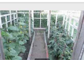 Продам дом, 120 м2, рабочий посёлок Горшечное, Новосёловская улица, 8А