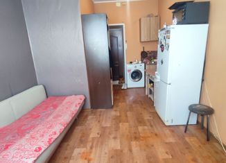Продажа 1-комнатной квартиры, 18.8 м2, Барнаул, улица 40 лет Октября, 29А