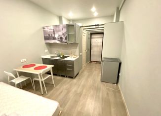 Продается квартира студия, 18 м2, Москва, Гостиничная улица, 10к5