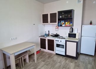 Продаю 1-ком. квартиру, 25 м2, Барнаул, Балтийская улица, 99, ЖК Матрёшки