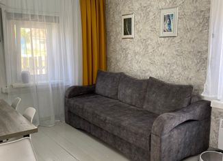 Продажа дома, 27.2 м2, село Моряковский Затон, улица Горького, 22