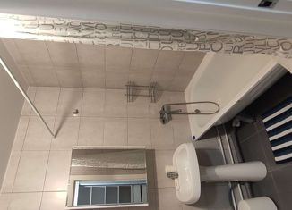 Сдается в аренду квартира студия, 35 м2, село Усады, Дорожная улица, 69