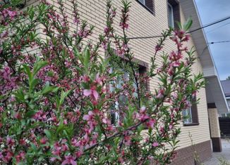 Продается дом, 141 м2, Бор, 10-я улица, 1