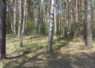 Продаю участок, 11.6 сот., деревня Писарево