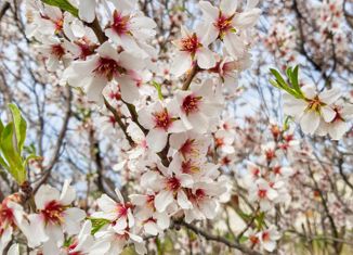 Продается участок, 100 сот., село Межводное, Центральная площадь