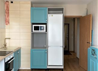 Продам двухкомнатную квартиру, 62.3 м2, Санкт-Петербург, Славянская улица, 22, метро Рыбацкое