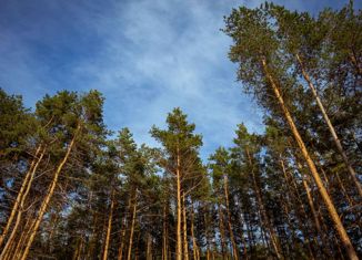Продаю участок, 70 сот., поселок Николина Гора, Вишнёвая улица