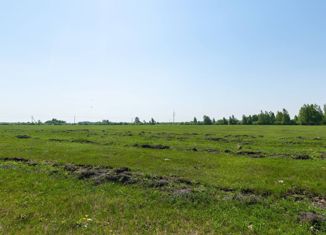 Продам участок, 500 сот., село Салаирка