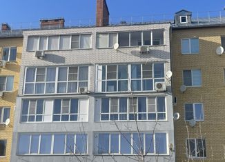 Продажа трехкомнатной квартиры, 103.5 м2, Нижегородская область, улица Петрищева, 35