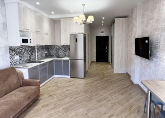 Продается квартира студия, 32 м2, село Эстосадок, Эстонская улица, 9/4, ЖК Red Glade