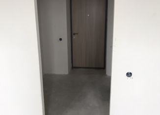 Продается квартира студия, 29.4 м2, поселок Придорожный, Николаевский проспект, 70