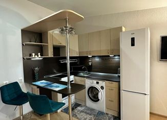 Продаю квартиру студию, 23.9 м2, Колпино, Понтонная улица, 9к1