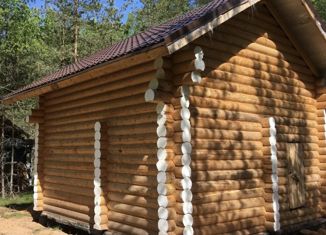 Дом на продажу, 48 м2, деревня Сосновка, 49Н-1115