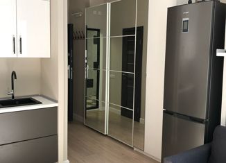 Продажа квартиры студии, 29.9 м2, Москва, Гостиничная улица, 10к5, метро Окружная