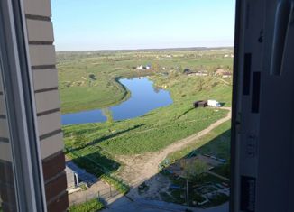 Квартира на продажу студия, 28.4 м2, Никольское, Первомайская улица, 1