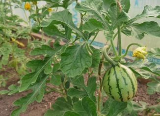 Продаю дом, 60 м2, Берёзовский, Коммунальная улица