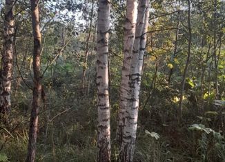 Продается участок, 50 сот., деревня Остров, 28Н-0742