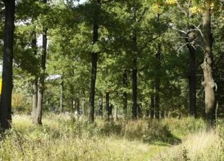 Продаю земельный участок, 9.94 сот., поселок Дубовый Гай, Центральная улица, 26