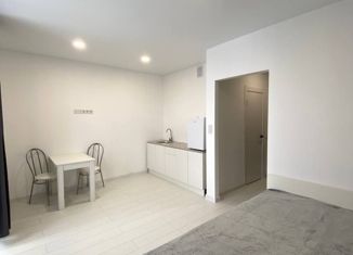 Продажа квартиры студии, 24.8 м2, село Осиновая Гора, ЖК Суворовский, улица Аркадия Шипунова, 18