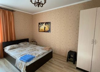 Сдаю в аренду 1-комнатную квартиру, 48 м2, Пятигорск, улица Пестова, 17/3