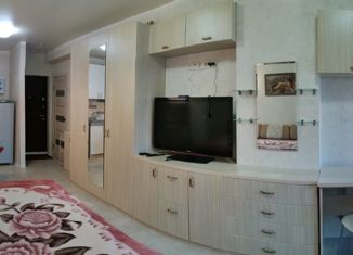 Квартира в аренду студия, 30 м2, Сочи, переулок Горького, 24, ЖК Сокол